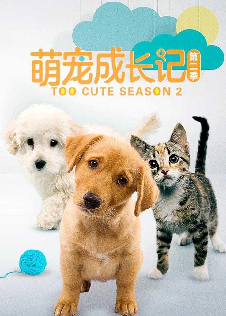 《萌宠成长记》1-3 季全 29 集 1080P 超清典藏版 [25GB]